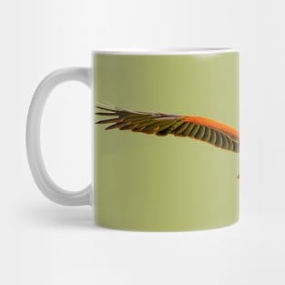 Coming at you Harris Hawk Mug